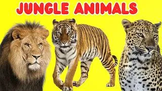 Thumbnail: Learn Jungle Animals Names🐅🌿 Kids Learning Video