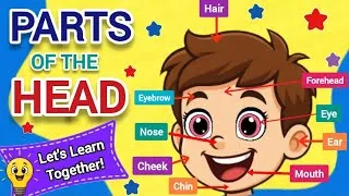 Thumbnail: Parts of the Head for Kids | Learn Eyes, Ears, Nose & Mouth | Nursery & Preschool Learning