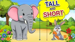 Thumbnail: Tall & Short | Fun Educational Video for Nursery and LKG Kids - Kids World 