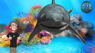 Thumbnail: Fintastic Fish Facts: Dive into the Deep Blue!
