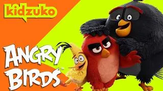 Thumbnail: Red and Friends' Wild Adventures! 🐣✨💪 | Angry Birds | Compilation | @Kidzuko  ​