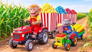 Thumbnail: Monkey Farmer Drives Tractor to Harvest Corn with Tiny JCB Cat & Enjoys Giant Rainbow Butter Popcorn