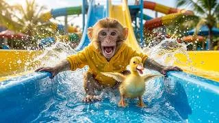 Thumbnail: Cute NaNa the Monkey & Baby Duckling Slide Down the Giant Water Park Slides