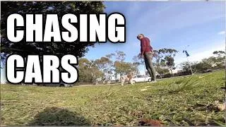 Thumbnail: How I address herding and chasing cars