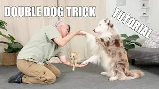 Thumbnail: Splash and Tug's Double Dog Trick Tutorial