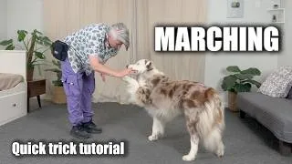Thumbnail: Marching - Fun Dog Trick Tutorial