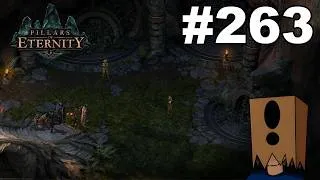 Thumbnail: Let's Play Pillars of Eternity #263: Leave Plot Dumps at the Door of Teir Evron
