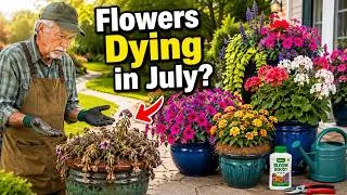 Thumbnail: Your Potted Flowers Are Dying in July? Do These 8 Things Before It’s Too Late