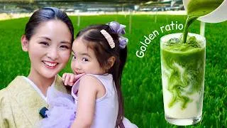 Thumbnail: How to Make Perfect Matcha: The Golden Ratio by Ex-Geisha, Japanese Mom