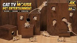 Thumbnail: CAT TV Mouse | Mouse for Cats to Watch – Ultimate Mouse Hunt & Hide Game | 4K 60FPS