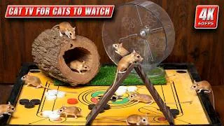 Thumbnail: Cat TV Mouse | Unlimited Mice to Watch for Cats | 8 Hours 4K 60FPS