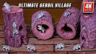 Thumbnail: Cat TV | Ultimate Gerbil Village | 4k 8 Hours | Videos for Cats