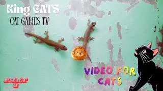 Thumbnail: Cat games! Video for cats! House Lizards PART 8 - House Lizards on screen for cats to watch! CAT TV