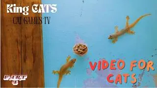 Thumbnail: Cat games! Video for cats! House Lizards PART 4 - Delicious prey. CAT TV! Video for cats to watch!