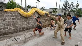 Thumbnail: Brave Experts Have Discovered Traces Of The World's Largest Snakes