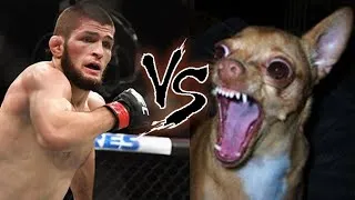 Thumbnail: Funny Khabib Scared of Dogs Story - Locks Coach's Pets Outside and Gets Thrown Out - Javier Mendez