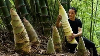 Thumbnail: Harvesting Giant Bamboo Shoots in the Forest | Self-Sufficient Meal 
