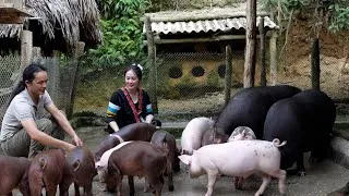 Thumbnail: Zon, Vang Hoa, witnesses her piglets growing incredibly fast | All the effort pays off 