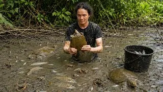Thumbnail: Drain the mud puddle, catch giant turtles and wild stream fish .