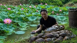 Thumbnail: Catching mud clams to cook, renovate livestock barns .