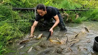 Thumbnail: Catching stream fish to cook, building a pen for newborn piglets.