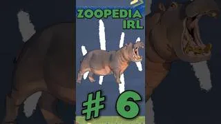 Thumbnail: Finding EVERY Animal in Planet Zoo 2 IRL | Ep.6 #planetzoo2 #zoo #keystonespecies #conservation