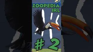 Thumbnail: Finding EVERY Animal in Planet Zoo 2 IRL | Ep.2 #planetzoo2 #zoo #keystonespecies #conservation
