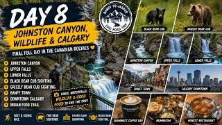 Thumbnail: Banff National Park - Johnston Canyon, Bear Sightings, Johnston Canyon, & Calgary Downtown