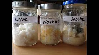 Thumbnail: Negative 'Loosh Energy' & The Rice Experiment...