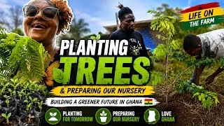 Thumbnail: Planting Trees & Preparing Our Nursery | Life on the Farm in Ghana