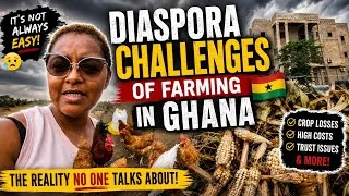 Thumbnail: Diaspora Challenges of Farming in Ghana 🇬🇭 | The Reality No One Talks About