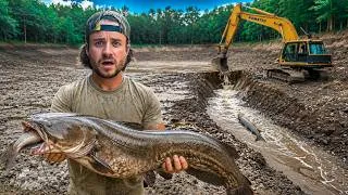 Thumbnail: I’m Sorry…But I Drained My Pond & Killed All the Fish!