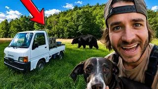 Thumbnail: Solo Mini Truck Camping & Hunting in Appalachia Bear Country!