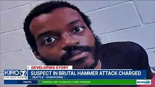 Thumbnail: Suspect in brutal hammer attack charged