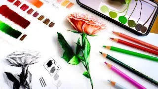 Thumbnail: How to Draw with Colored Pencil from START TO FINISH!