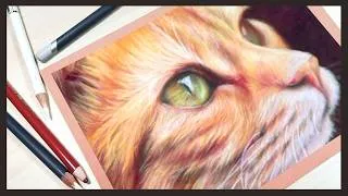 Thumbnail: Best Coloured Pencil for White Highlights?