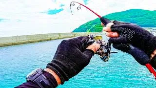 Thumbnail: Beach Fishing in Rural Japan | Catch & Cook