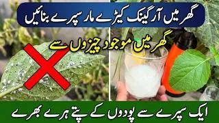 Thumbnail: Organic Pesticides Making At Home | Easy Pesticide For Insects in Garden | Kitchen Gardening | Pests