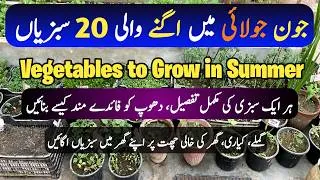 Thumbnail: 20 Summer Vegetables to Grow in June/ July | Garmion Me Lagne Wali Sabzian | Rainy Season Vegetables