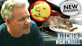 Thumbnail: "You're Serving Food With Rat S#!t Above It!" | NEW Kitchen Nightmares COMPILATION