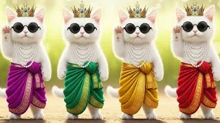 Thumbnail: बिल्ली डांस | Cutest Cat videos funny dance🤣💃Dance Videos for cats #funny #dancingcat #cat #cute