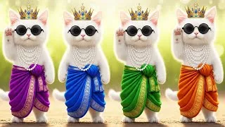 Thumbnail: बिल्ली डांस | Cutest Cat videos funny dance🤣💃Dance Videos for cats #funny #dancingcat #cat #cute