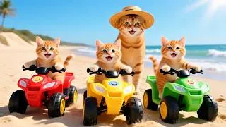 Thumbnail: Mama Cat Trims Fur on the Farm and Makes Tiger Hat For Kittens At Home🐾🎩🐯