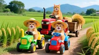 Thumbnail: Mama Cat Trims Fur on the Farm and Makes Tiger Hat For Kittens At Home🐾🎩🐯