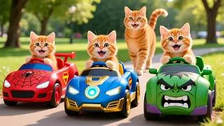 Thumbnail: Mama Cat Trims Fur on the Farm and Makes Tiger Hat For Kittens At Home🐾🎩🐯