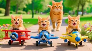 Thumbnail: Ginger Kittens Build Mini Toy Airplanes & Surprise Mama Cat with a Special Park Patrol! ✈️🏎️🐱