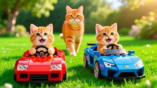 Thumbnail: Mama Cat Trims Fur on the Farm and Makes Tiger Hat For Kittens At Home🐾🎩🐯