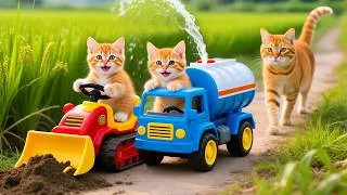 Thumbnail: Mama Cat Trims Fur on the Farm and Makes Tiger Hat For Kittens At Home🐾🎩🐯