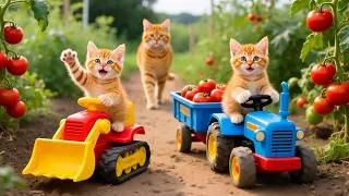 Thumbnail: Mama Cat Trims Fur on the Farm and Makes Tiger Hat For Kittens At Home🐾🎩🐯