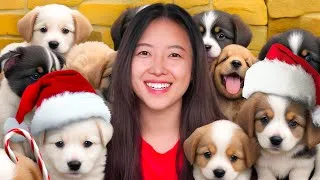 Thumbnail: I Let 100 Shelter Dogs Pick a Gift for Christmas